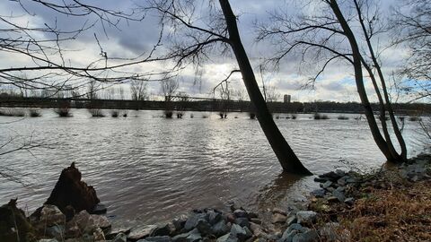 Der Rhein wie er über die Ufer tritt