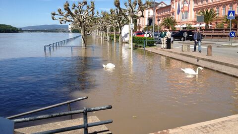 Überschwemmter Fußweg direkt beim Schloss