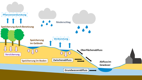 Verdunstung, die Speicherung des Wassers und der Abfluss werden in einem Kreislauf schematisch dargestellt.